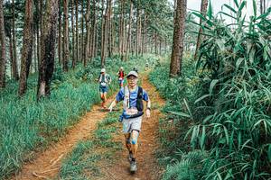 BIB: 
                            <button type="button" onclick="openModal(25709401)" class="btn btn-primary btn-sm float-right btn-popup" data-toggle="modal" data-target=".modal-high-quality">
                        <i class="fas fa-shopping-cart"></i> Add to Cart
                    </button>
                                            <button type="button" onclick="isThisMe(25709401, true)" class="btn btn-success btn-sm float-right btn-popup btn-isme hidden" data-toggle="tooltip" data-placement="bottom" title="นี่คือรูปของคุณใช่ไหม คลิกที่นี่เพื่อเอาเข้าอัลบั้ม">
                        <i class="fas fa-plus"></i> Add to album
                    </button>
                    <button type="button" onclick="isThisMe(25709401, false)" class="btn btn-warning btn-sm float-right btn-popup btn-isnotme hidden">
                        <i class="fas fa-ban"></i> Remove from album
                    </button>